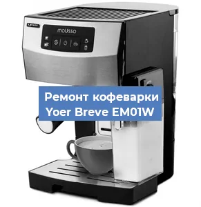 Ремонт капучинатора на кофемашине Yoer Breve EM01W в Воронеже